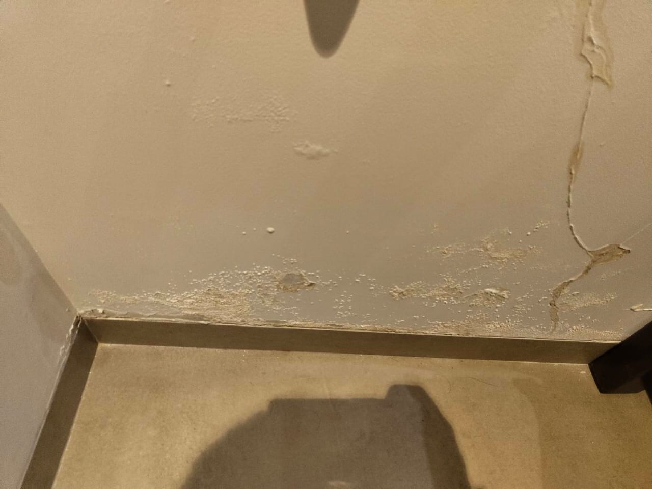 seepage and dampness detection