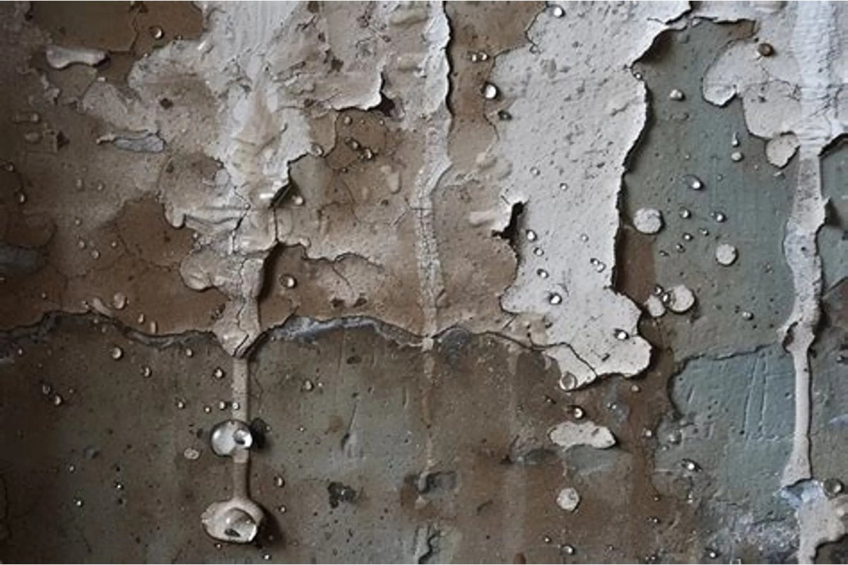 Causes of Water Seepage in Walls | HousyPoint Home Inspection