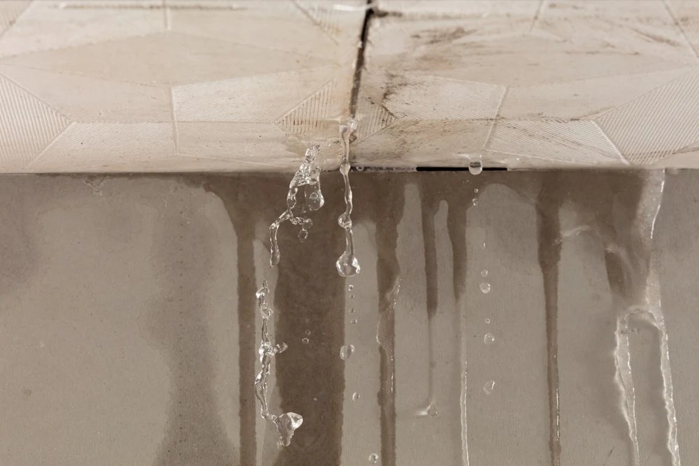 Wall Seepage & Dampness Testing Guide | HousyPoint Home Inspection
